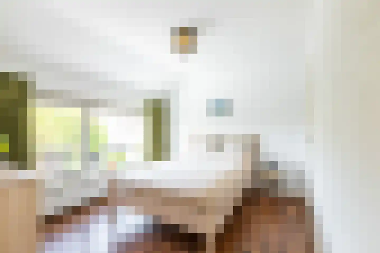 Mariannestraat 11 Waalre thumbnail 16