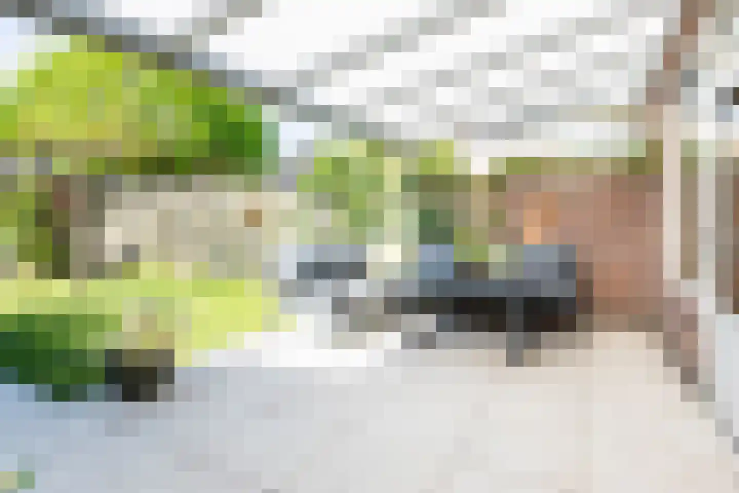 Mariannestraat 11 Waalre thumbnail 32