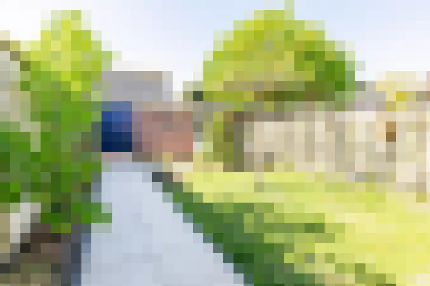 Mariannestraat 11 Waalre thumbnail 33