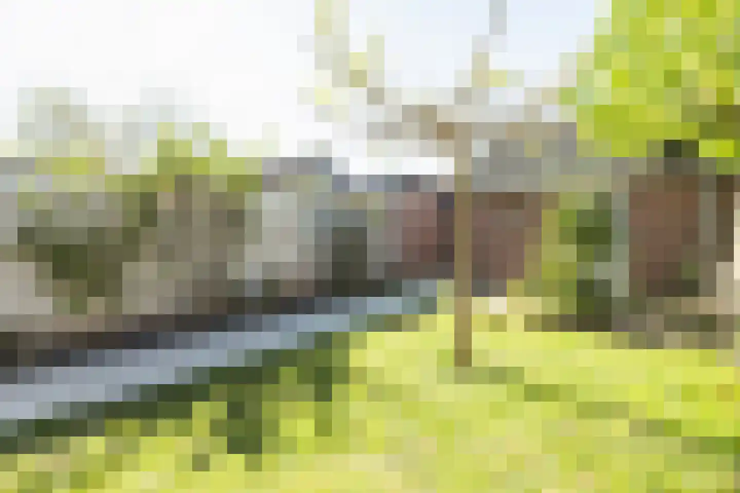 Mariannestraat 11 Waalre thumbnail 34