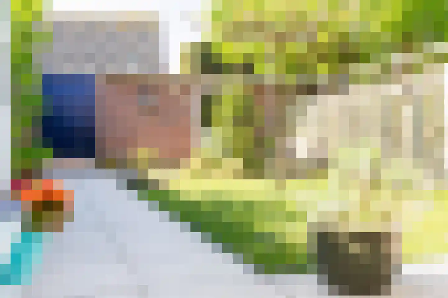 Mariannestraat 11 Waalre thumbnail 35