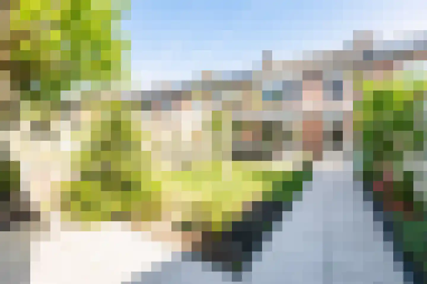 Mariannestraat 11 Waalre thumbnail 37