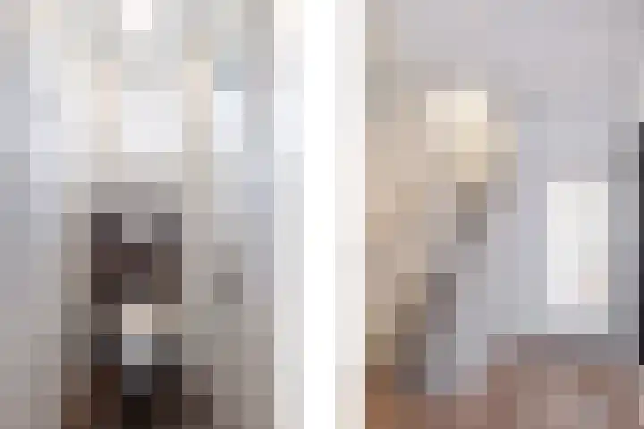 Mariannestraat 15 Waalre thumbnail 12