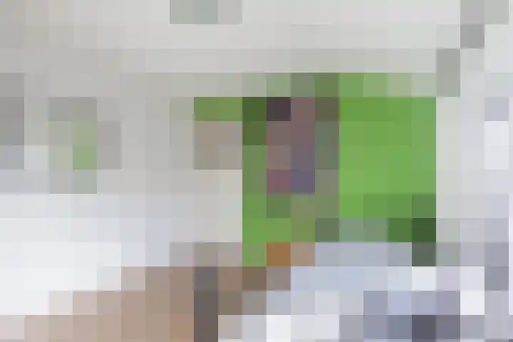 Mariannestraat 15 Waalre thumbnail 18
