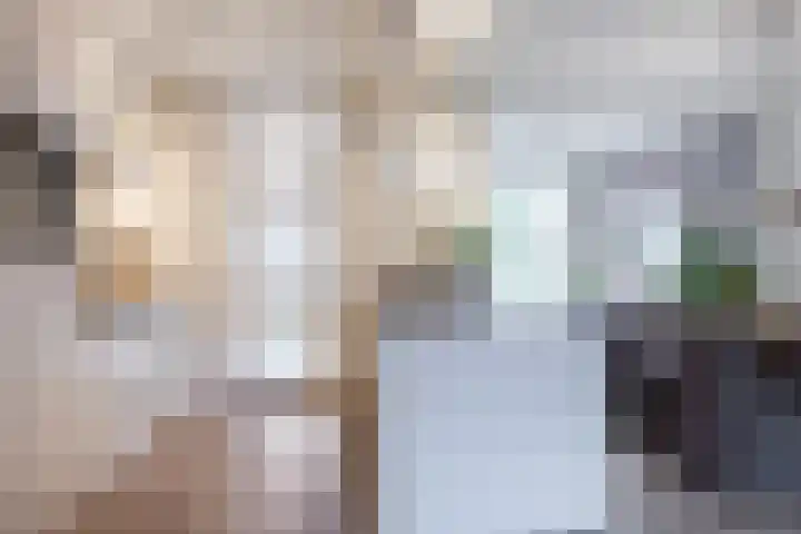 Mariannestraat 15 Waalre thumbnail 4