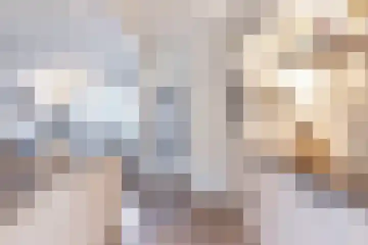 Mariannestraat 15 Waalre thumbnail 6