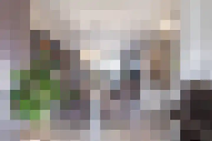 Mariannestraat 15 Waalre thumbnail 8