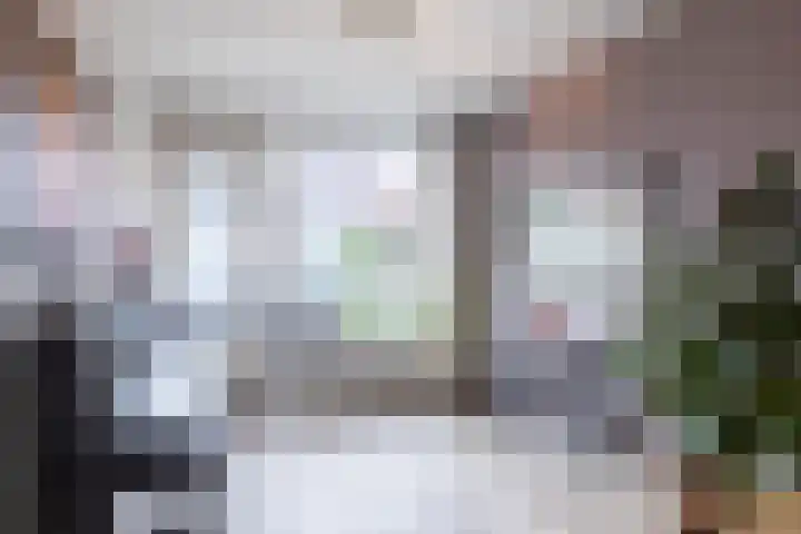 Mariannestraat 15 Waalre thumbnail 9