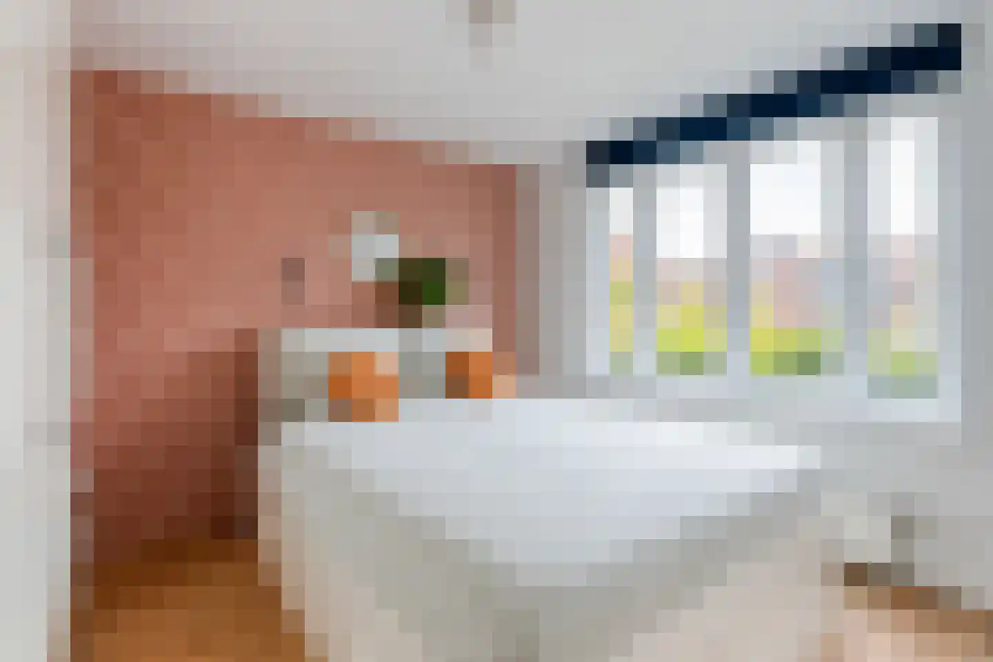 Mariannestraat 34 Dordrecht thumbnail 18
