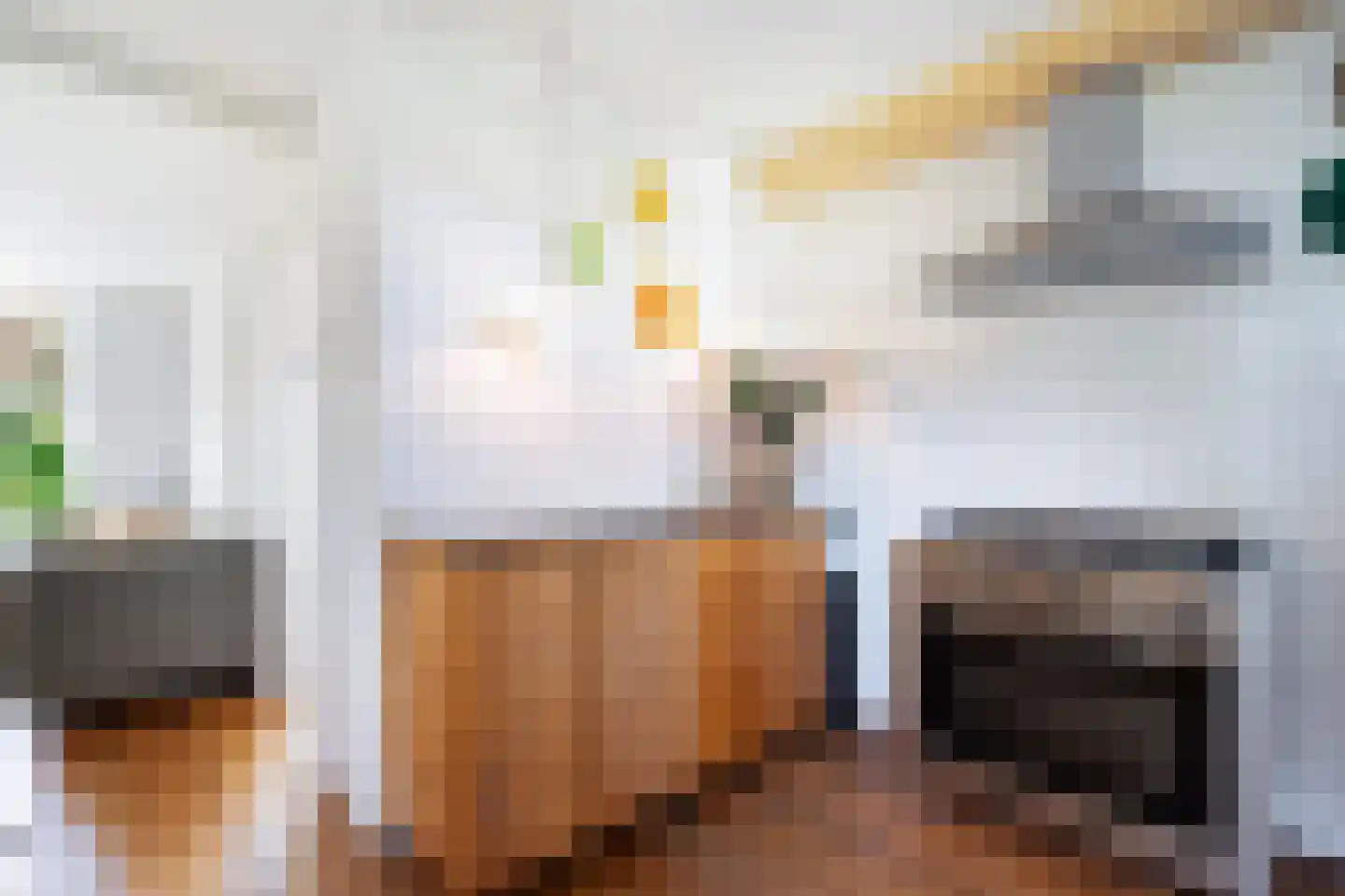 Mariannestraat 34 Dordrecht thumbnail 23