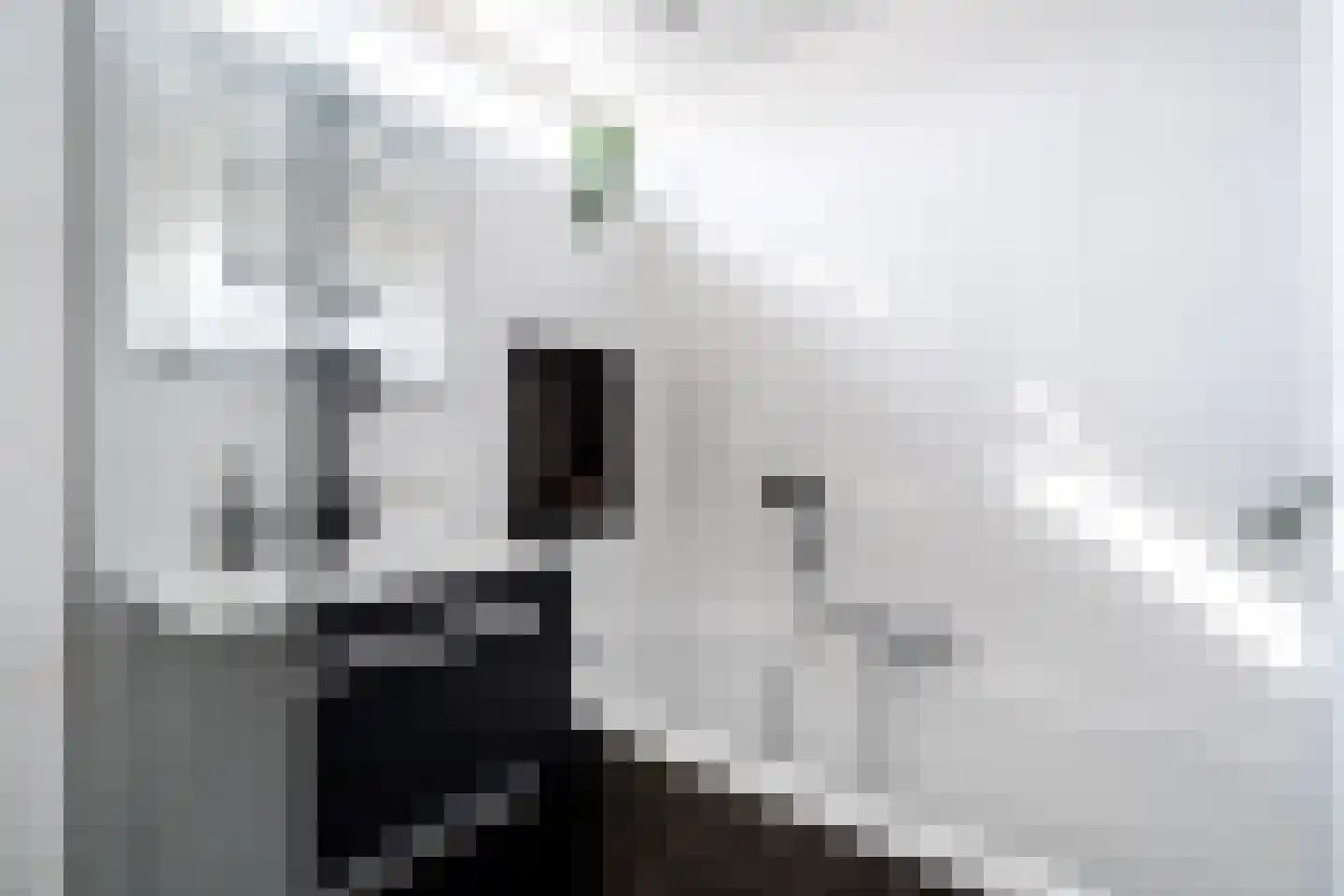 Mariannestraat 41 Weert thumbnail 31