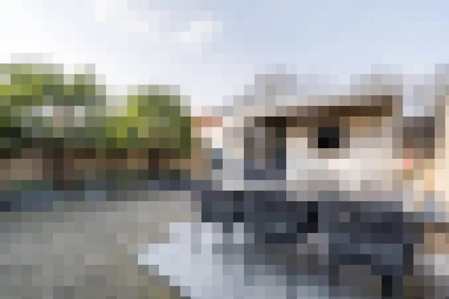Mariannestraat 41 Weert thumbnail 36