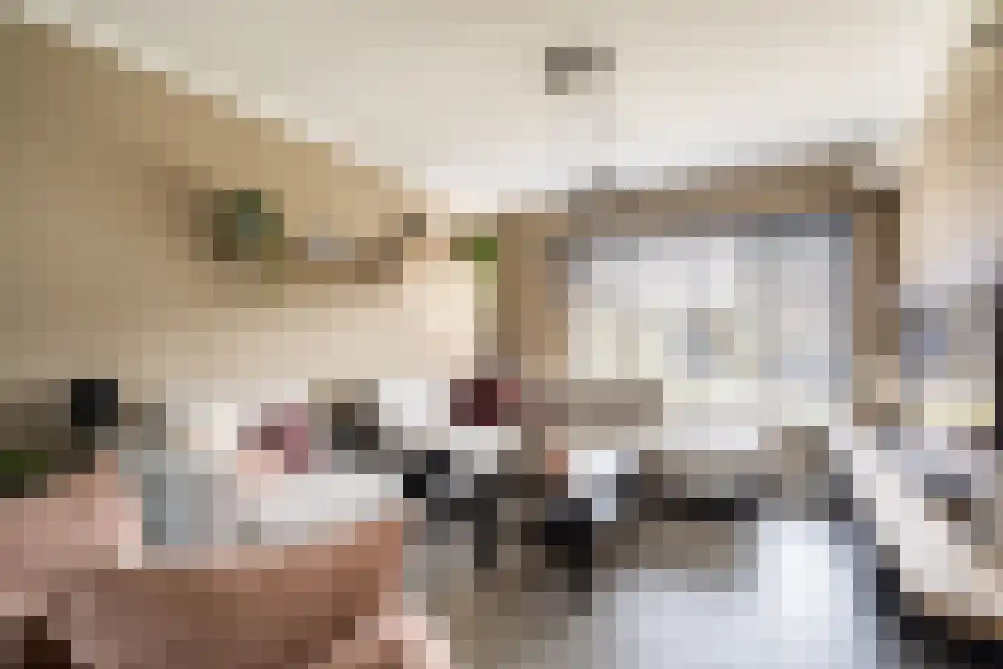 Mariannestraat 41 Weert thumbnail 6
