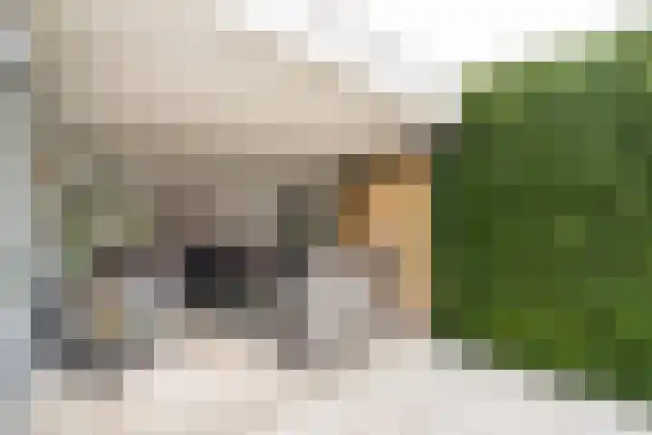 Mariannestraat 7 Weert thumbnail 34