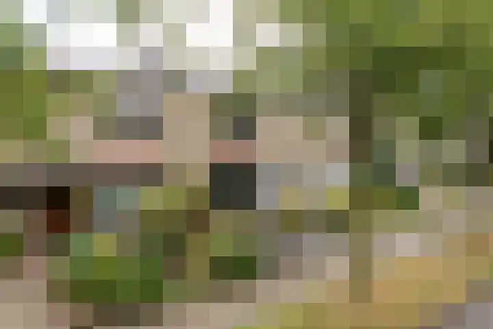 Mariannestraat 7 Weert thumbnail 37