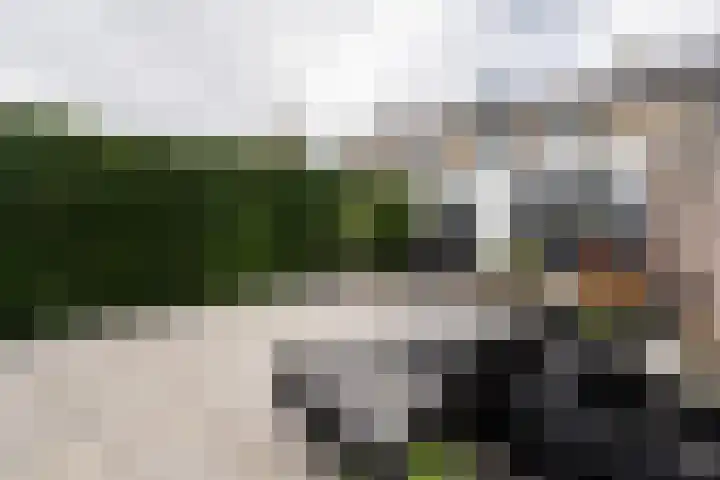 Mariannestraat 7 Weert thumbnail 4