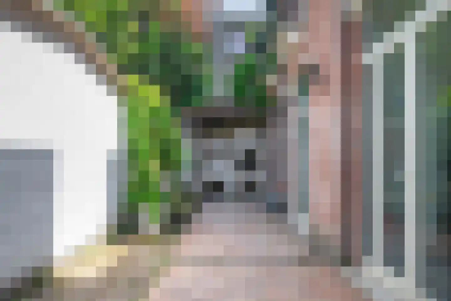 Mariaplaats 10 Utrecht thumbnail 16
