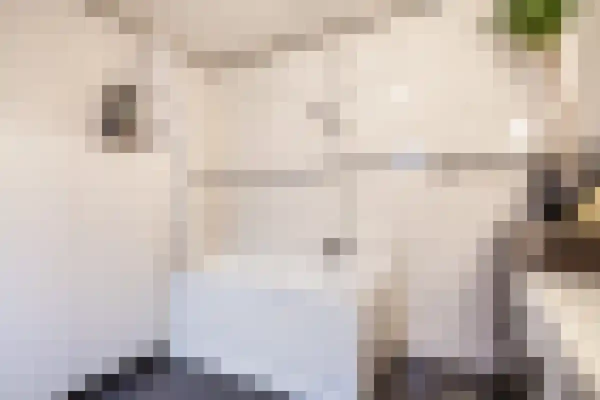 Mariaplaats 10 Utrecht thumbnail 29