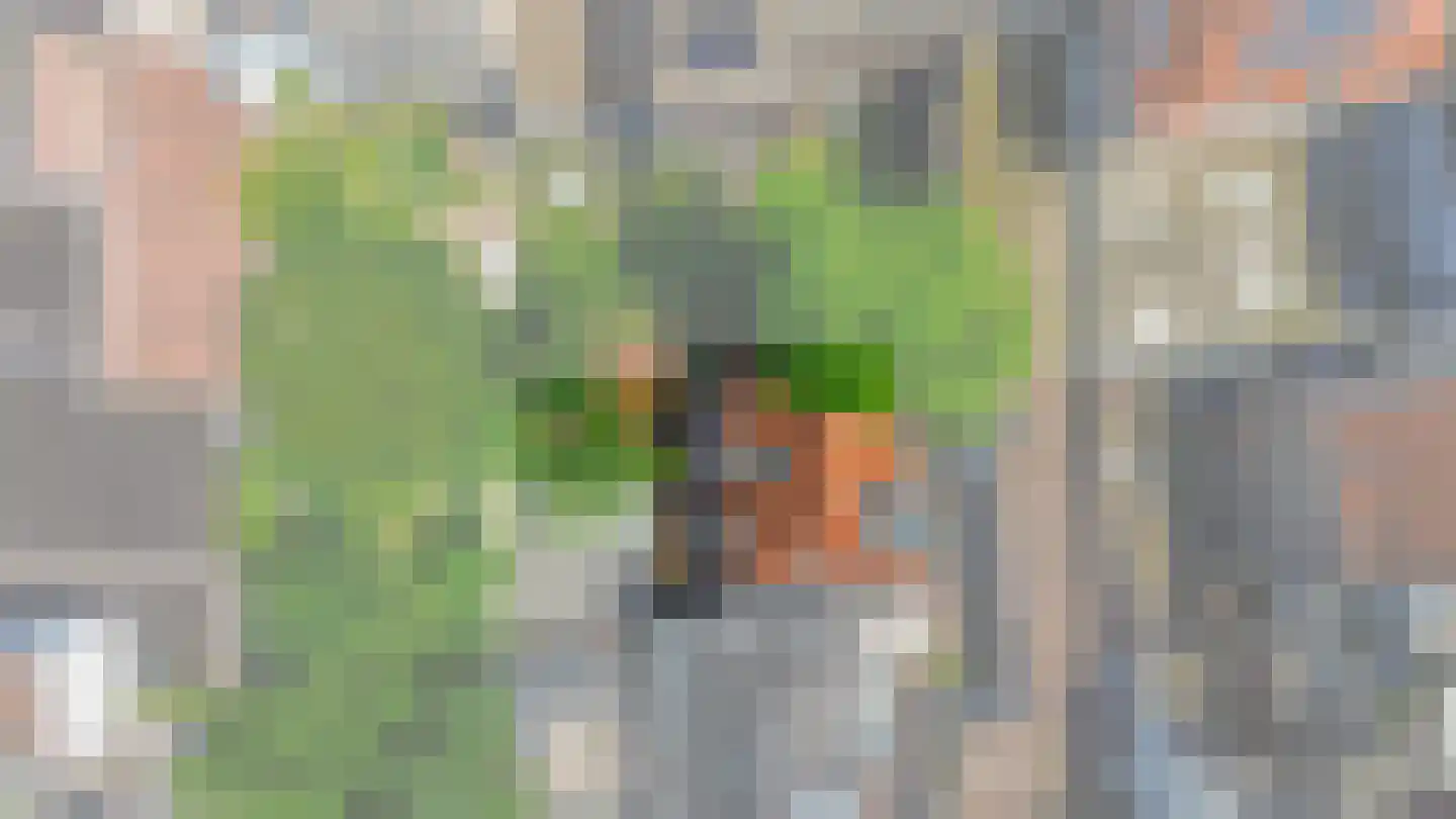 Mariaplaats 10 Utrecht thumbnail 33