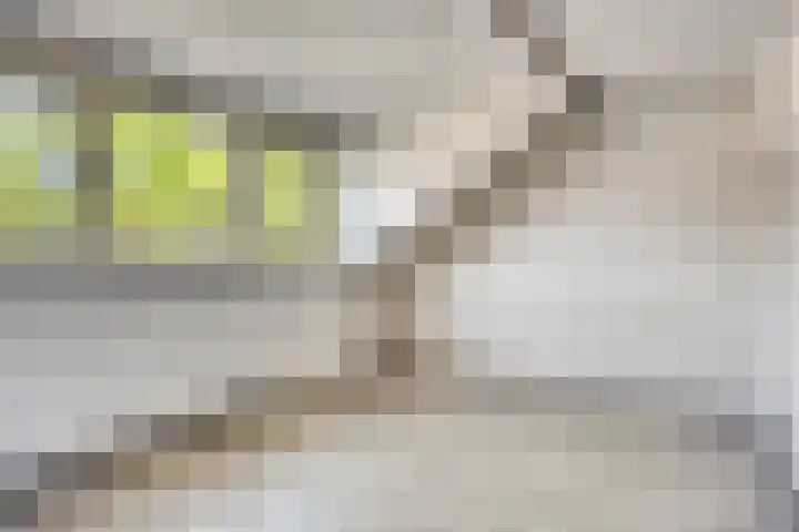 Mariaplaats 20 Zoetermeer thumbnail 16