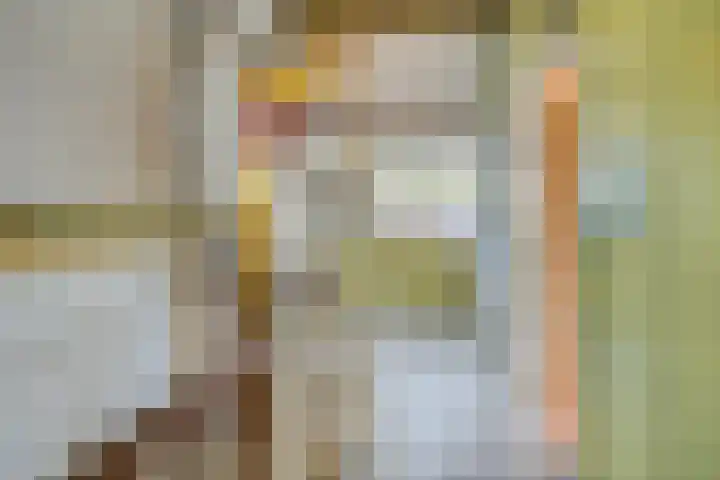Mariaplaats 20 Zoetermeer thumbnail 18