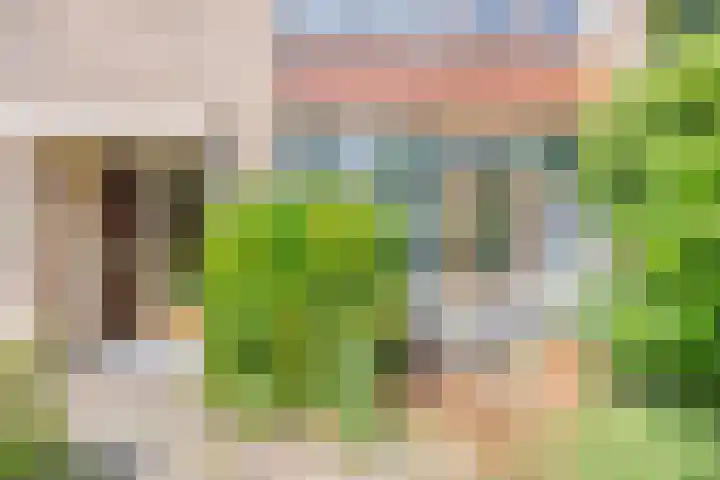 Mariaplaats 20 Zoetermeer thumbnail 19