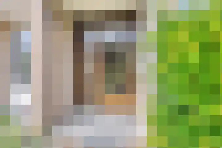 Mariaplaats 20 Zoetermeer thumbnail 21