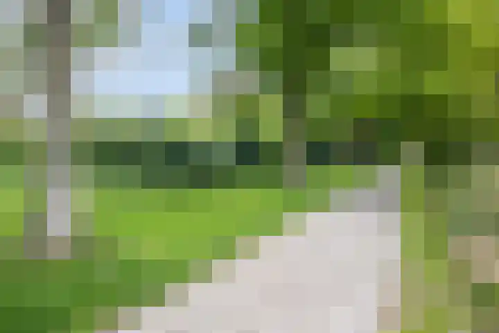 Mariaplaats 20 Zoetermeer thumbnail 23