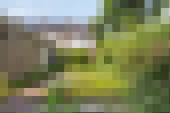 Mariaplaats 20 Zoetermeer thumbnail 26