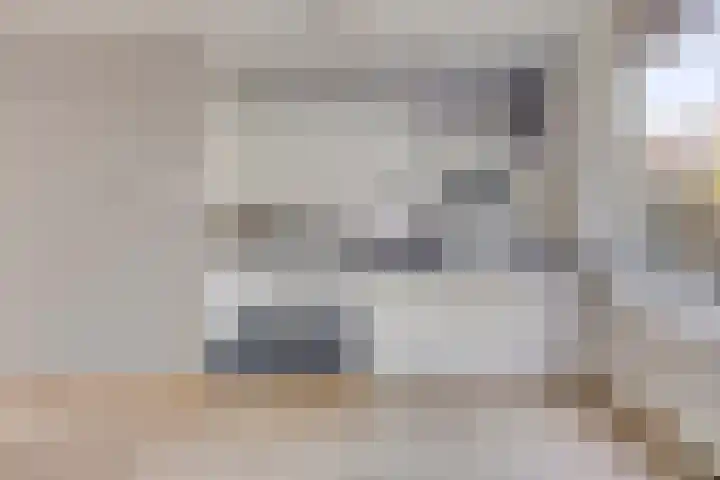 Mariaplaats 20 Zoetermeer thumbnail 5