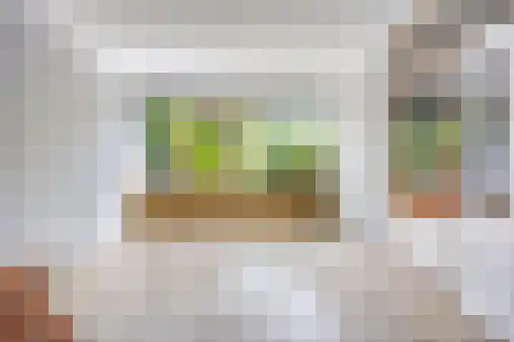Mariaplaats 20 Zoetermeer thumbnail 7