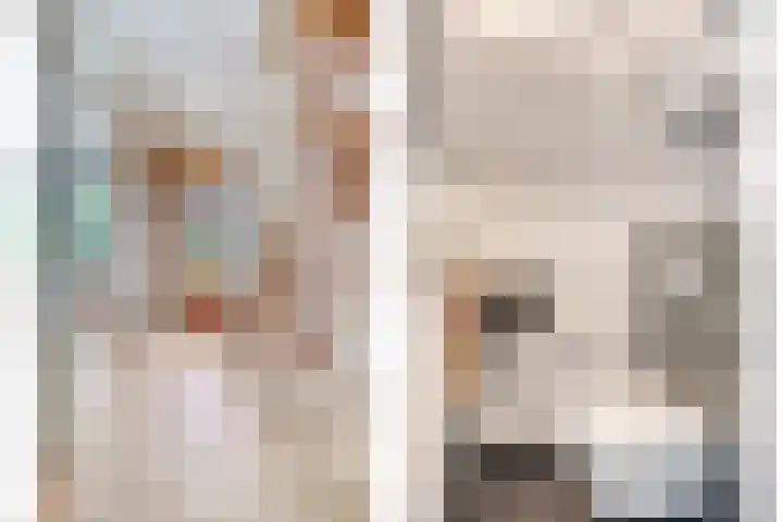 Mariaplaats 20 Zoetermeer thumbnail 8