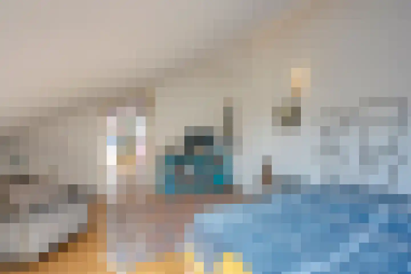 Mariaplaats 30 M Utrecht thumbnail 28