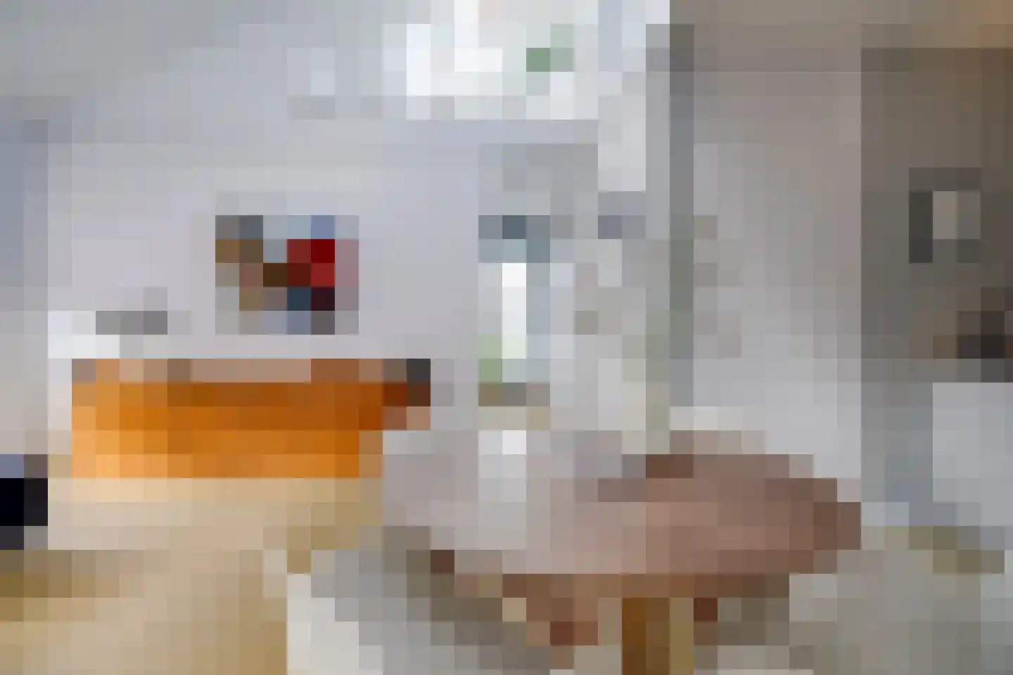 Mariaplaats 34 E Utrecht thumbnail 12