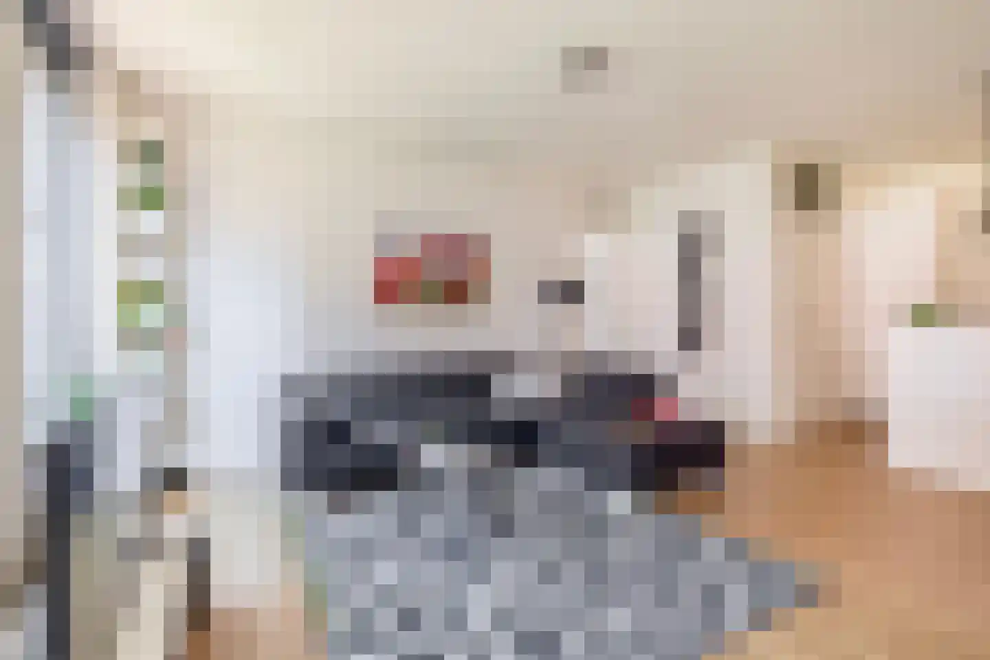 Mariaplaats 34 E Utrecht thumbnail 17