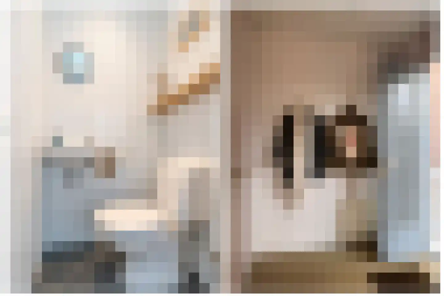 Mariaplaats 34 E Utrecht thumbnail 20