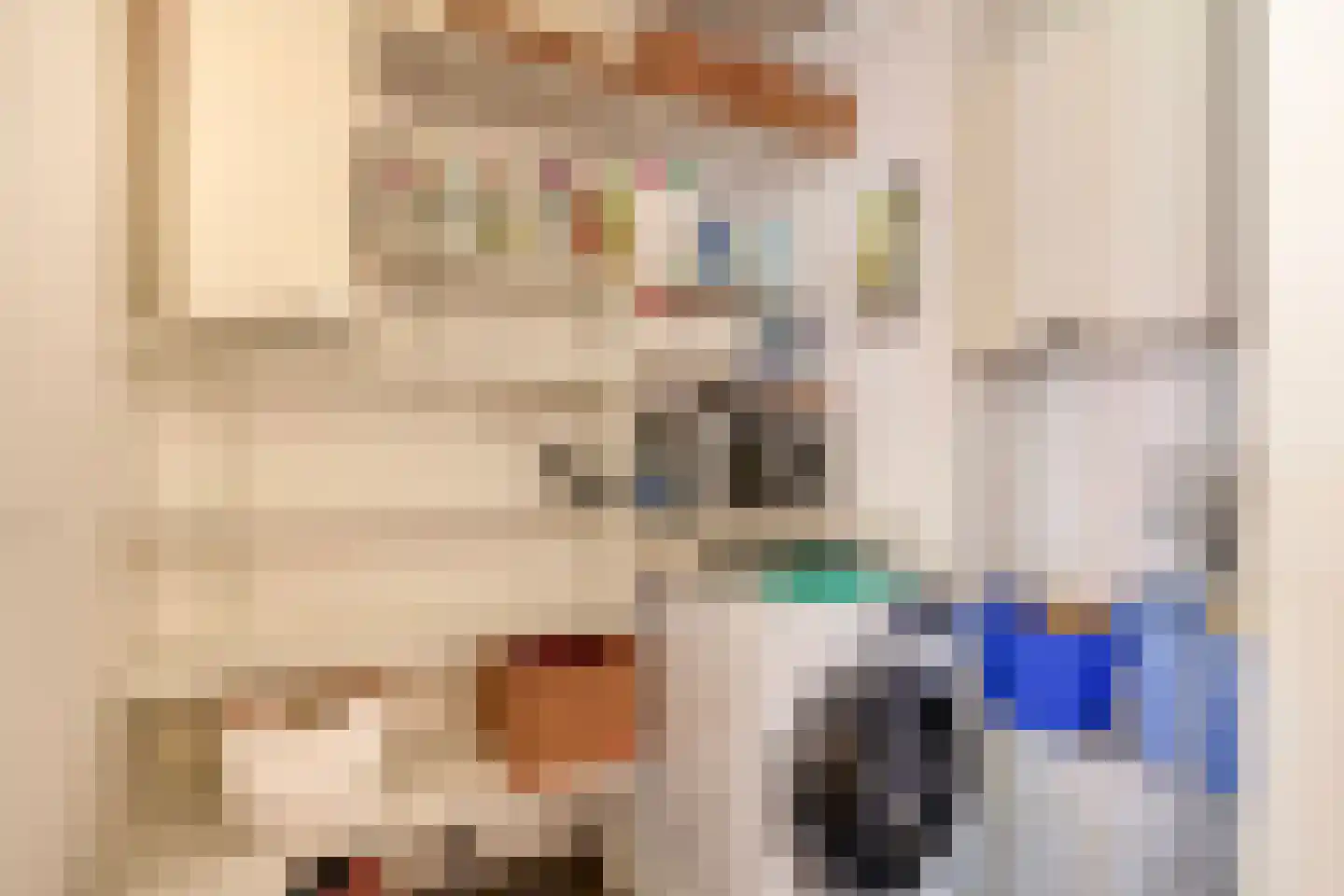 Mariaplaats 34 E Utrecht thumbnail 24