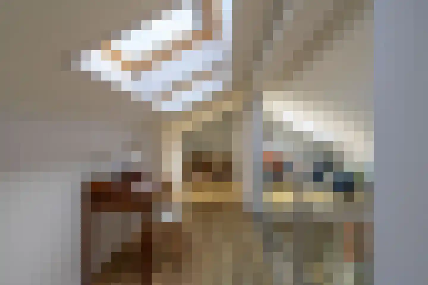 Mariaplaats 34 E Utrecht thumbnail 24