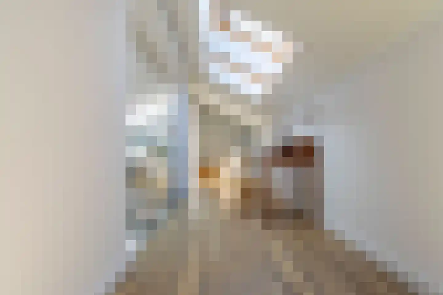 Mariaplaats 34 E Utrecht thumbnail 25