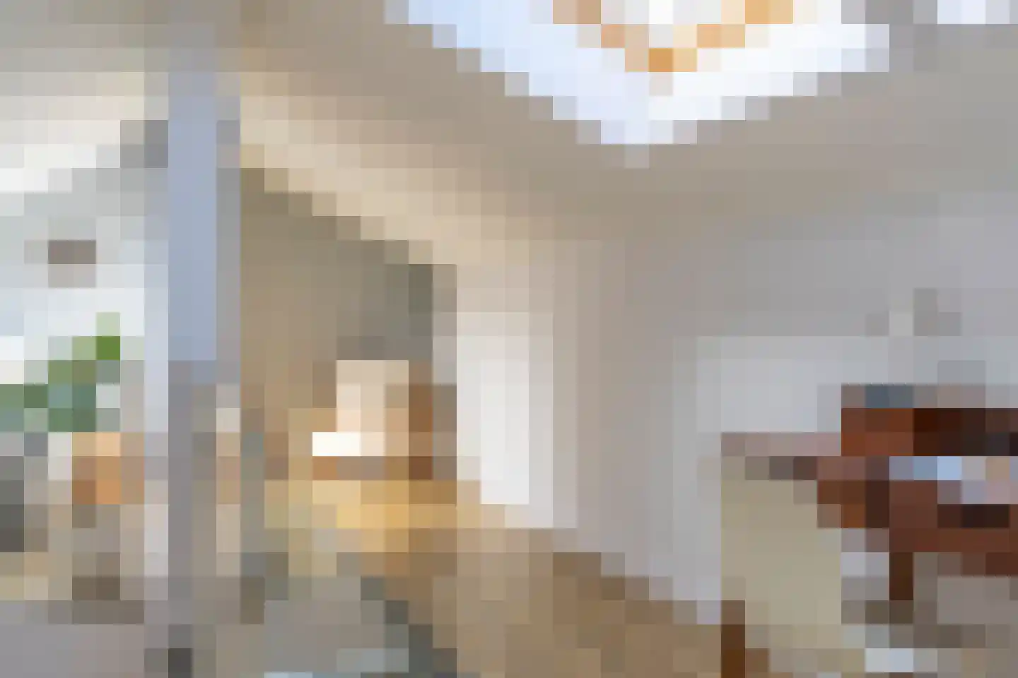Mariaplaats 34 E Utrecht thumbnail 26