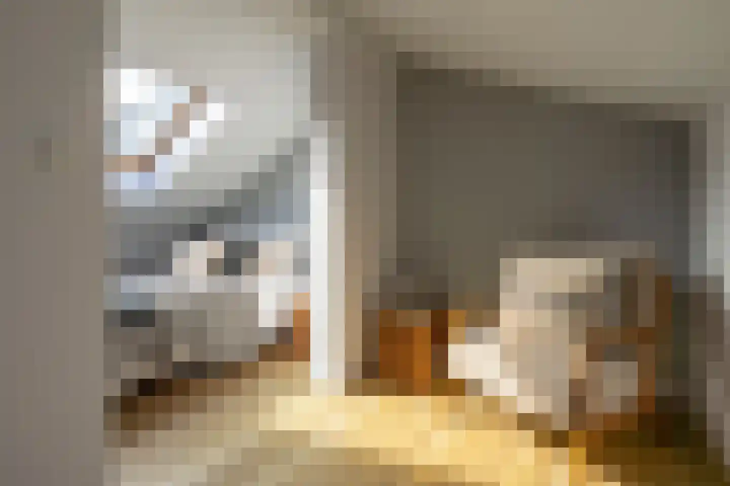 Mariaplaats 34 E Utrecht thumbnail 28