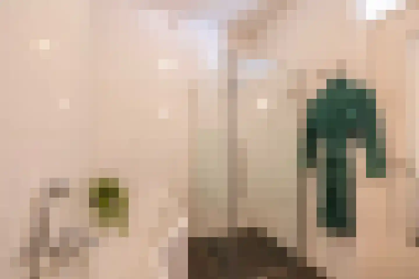 Mariaplaats 34 E Utrecht thumbnail 29