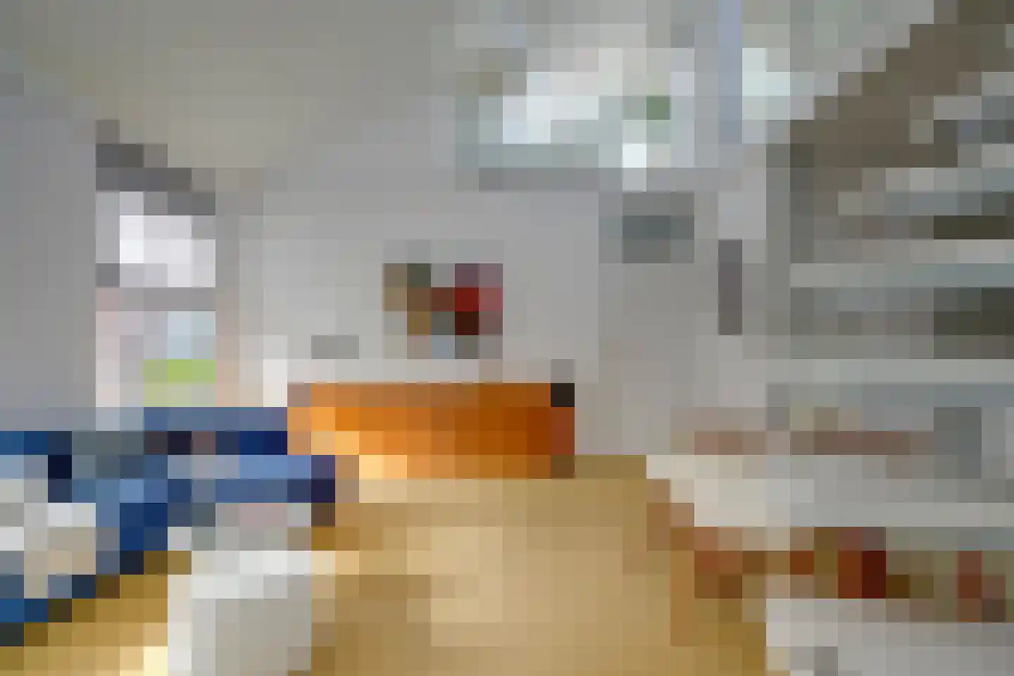 Mariaplaats 34 E Utrecht thumbnail 8