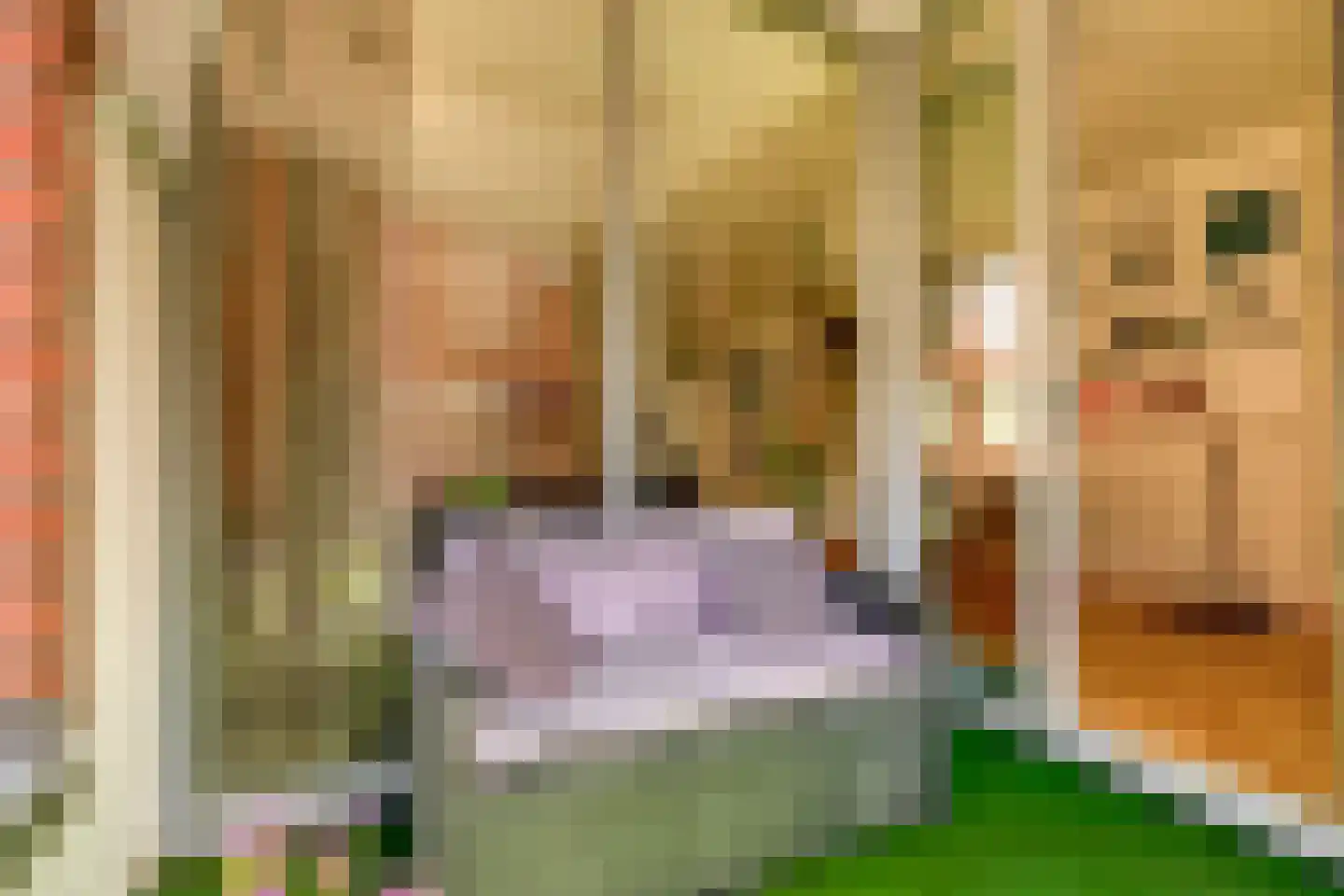 Mariaplaats 34 J Utrecht thumbnail 26