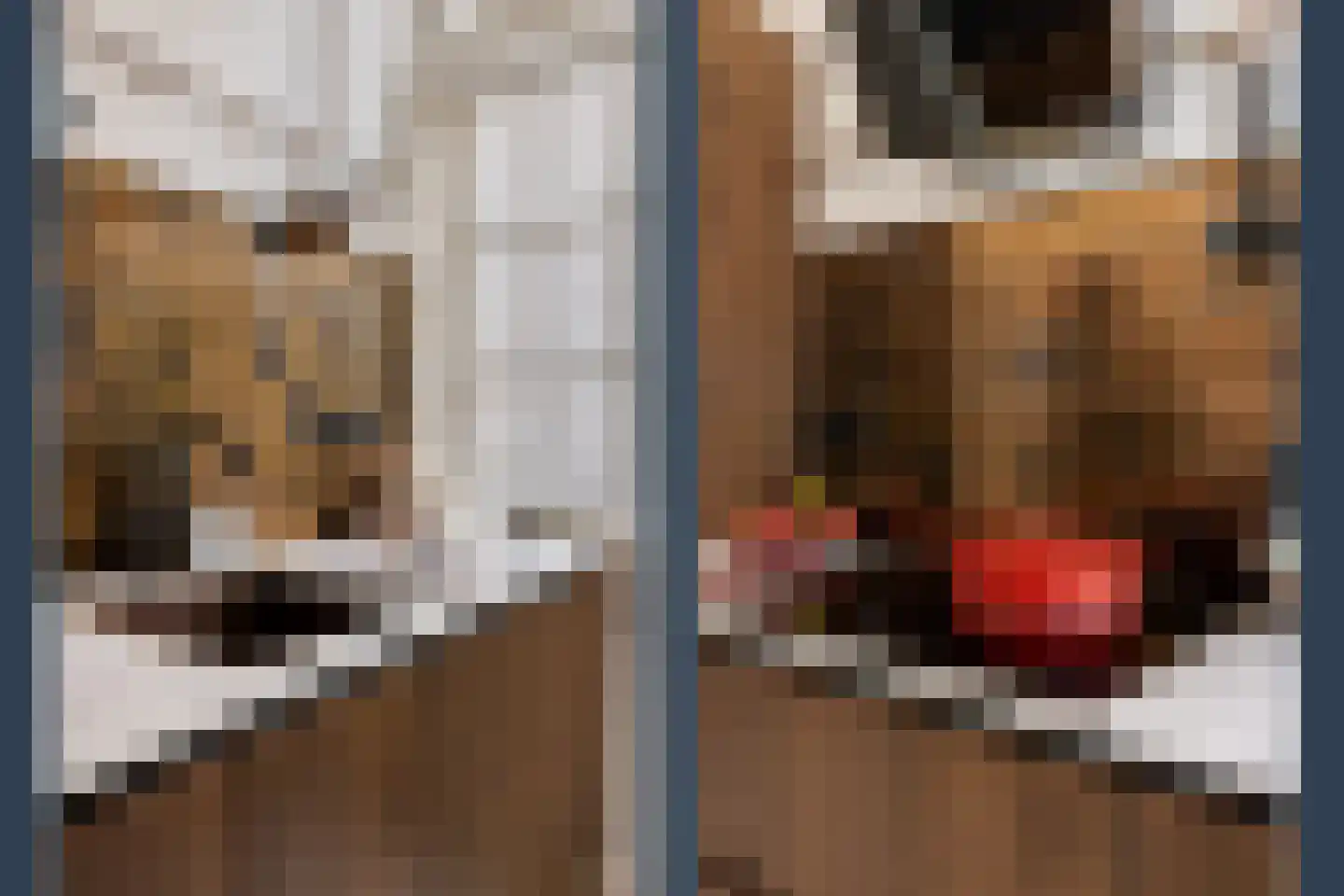 Mariaplaats 53 Utrecht thumbnail 27