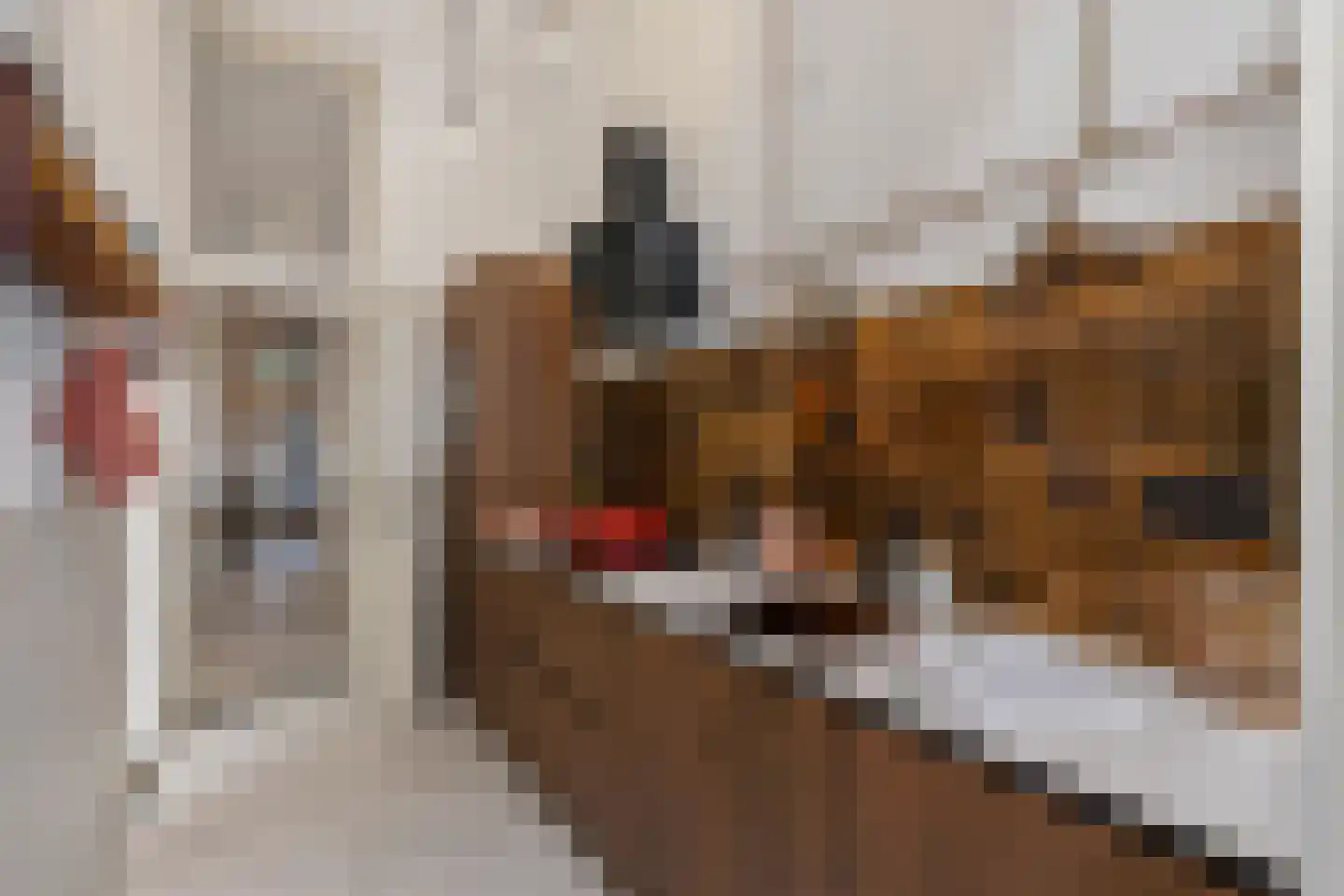 Mariaplaats 53 Utrecht thumbnail 28