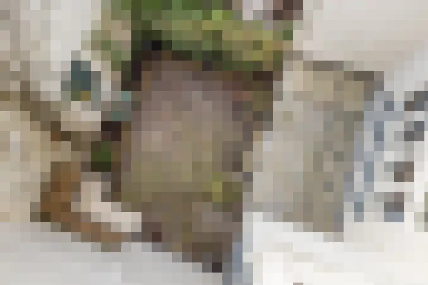 Mariaplaats 53 Utrecht thumbnail 34