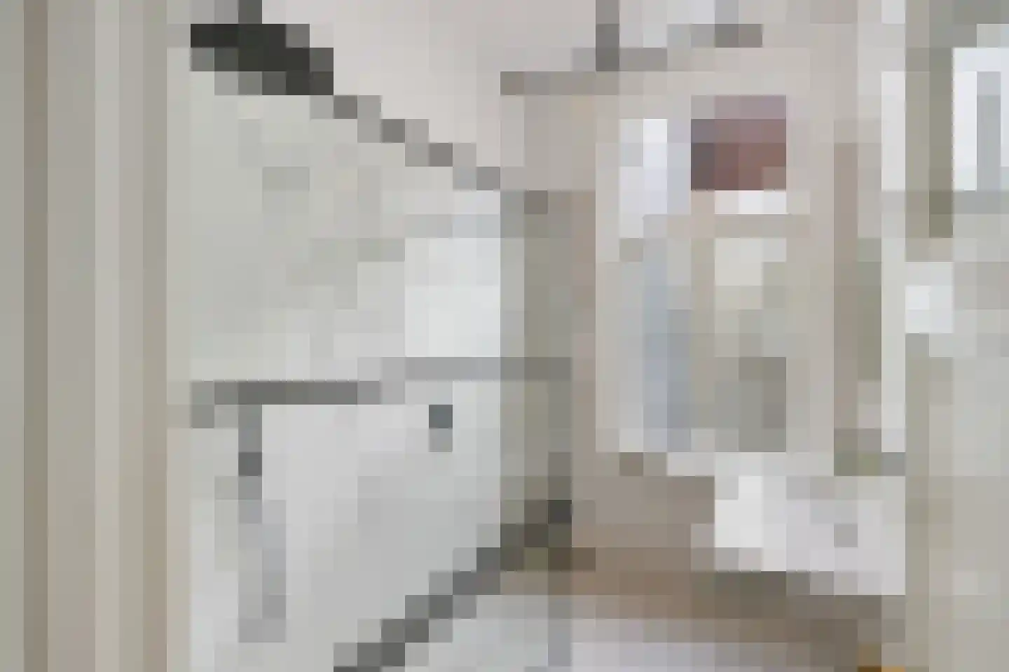 Mariaplaats 53 Utrecht thumbnail 43