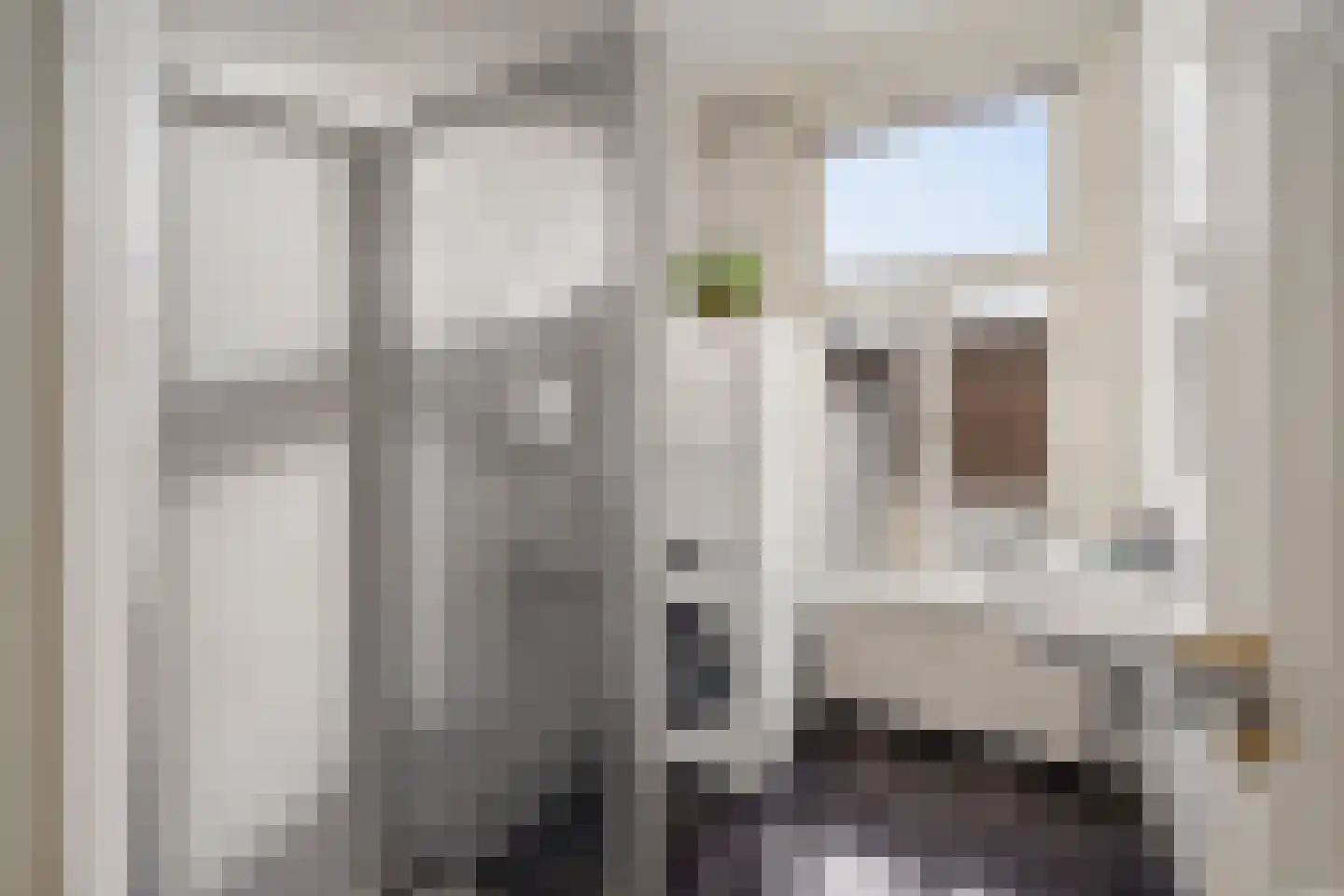 Mariaplaats 53 Utrecht thumbnail 51