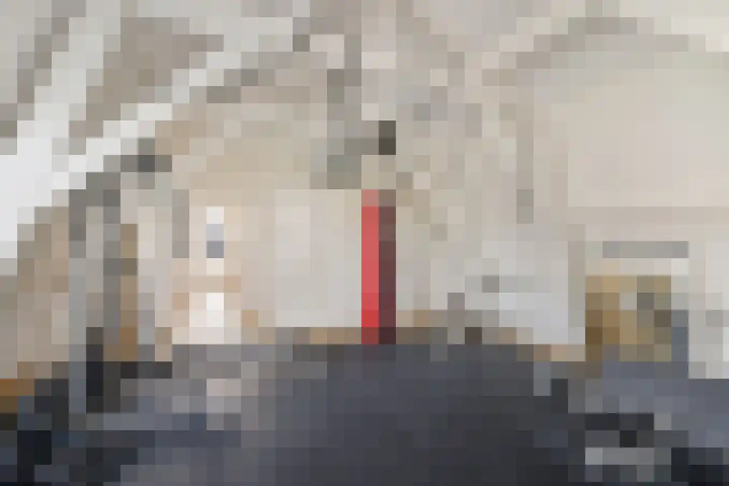 Mariaplaats 53 Utrecht thumbnail 59
